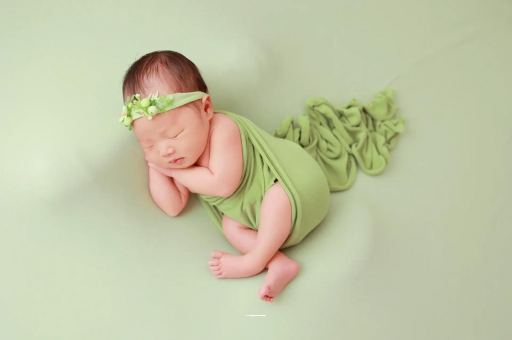 河南2025珠海助孕机构前十揭晓，警惕骗局